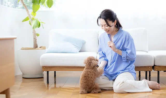 食育ドッグコミュニケータ