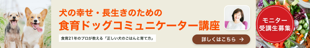 食育・ドッグコミュニケーター養成講座
