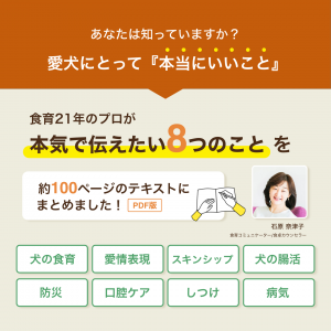 Facebook広告用_11ver_2